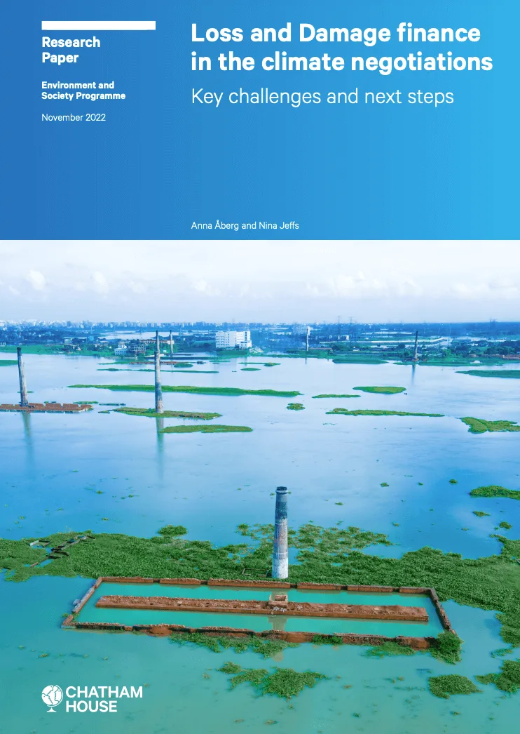 Loss and Damage finance in the climate negotiations