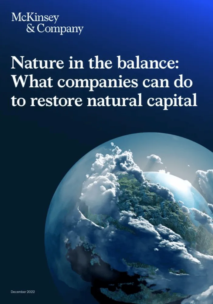 Nature in the balance: What companies can do to restore natural capital 2022