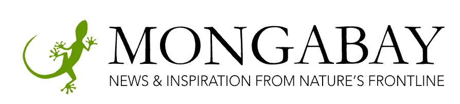 Mongabay